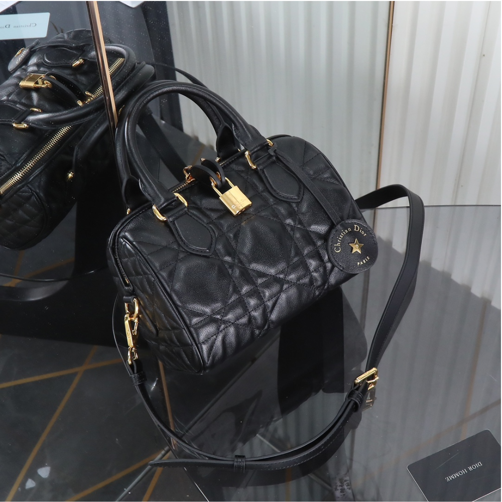 Dior Groove 20 Handbag Đen Túi Oblique