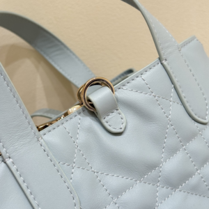 Dior Toujours Size 22 Túi Dior Toujours Basket Bag