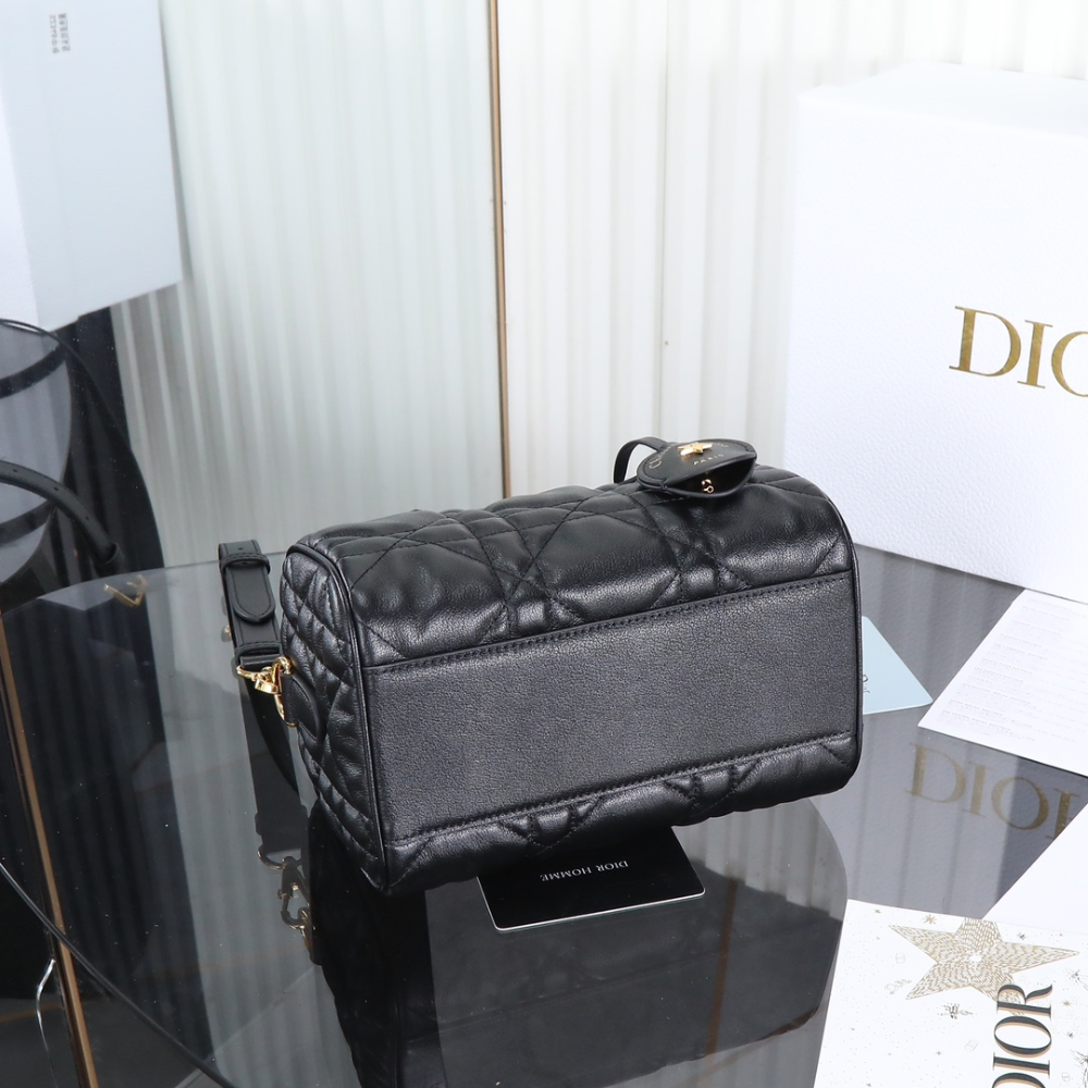 Dior Groove 20 Handbag Đen Túi Oblique - Ảnh 6
