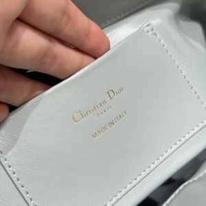 Dior Toujours Size 22 Túi Dior Toujours Basket Bag