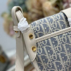 Dior 30 Montaigne Academy Bag Blue