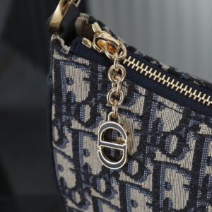 Dior Lounge Moon Bag