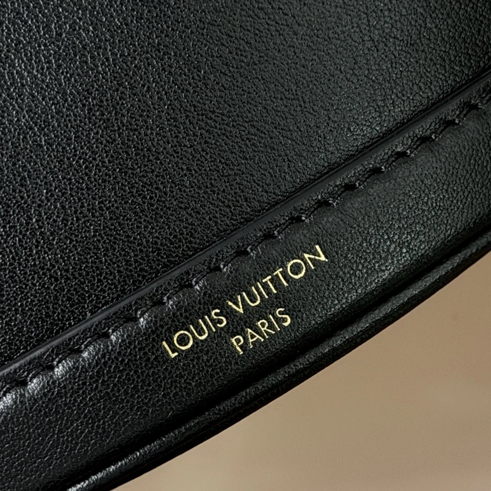 Louis Vuitton LV Bloom Mini Hobo Black Calfskin Bag M27260 - Ảnh 6