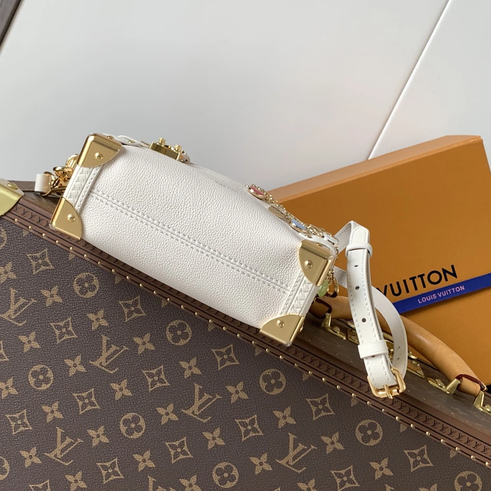 Louis Vuitton Side Trunk Bag - Ảnh 3