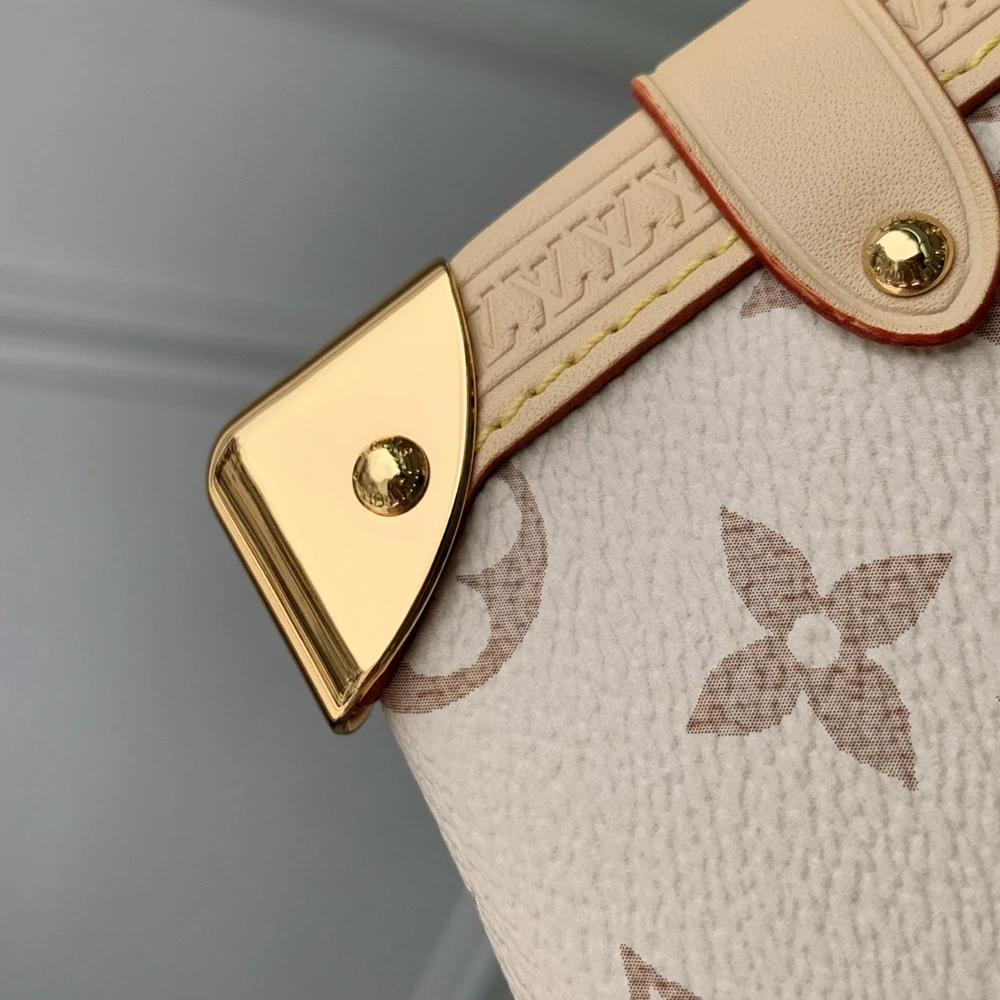 Louis Vuitton Side Trunk M29913 – Monogram Dune - Ảnh 7